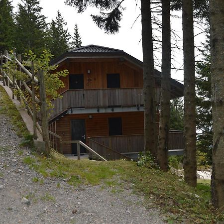 Apartma Med Smrekami Golte Mozirje Exterior photo